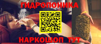 стаф Партизанск