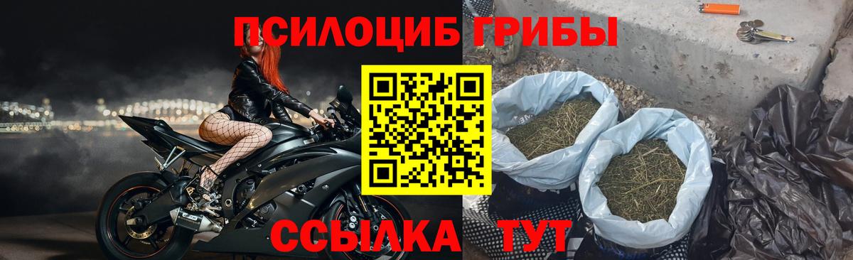 Рузаевка  как найти закладки  Вход с VPN  Псилоцибиновые грибы мицелий 