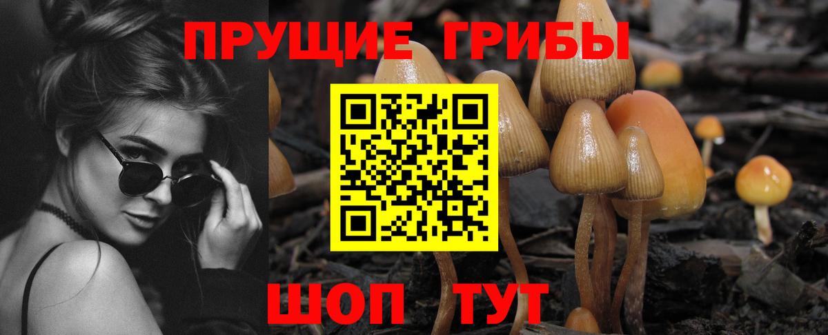 Псилоцибиновые грибы MAGIC MUSHROOMS Рузаевка